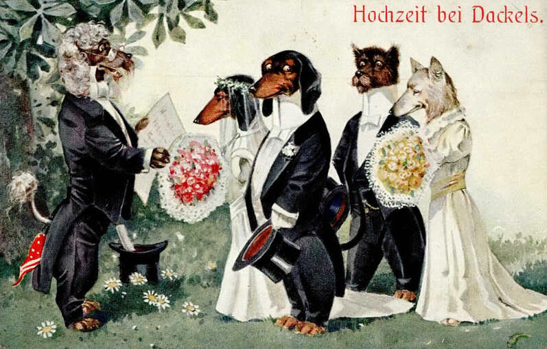 Ansichtskarte "Hochzeit bei Dackels"